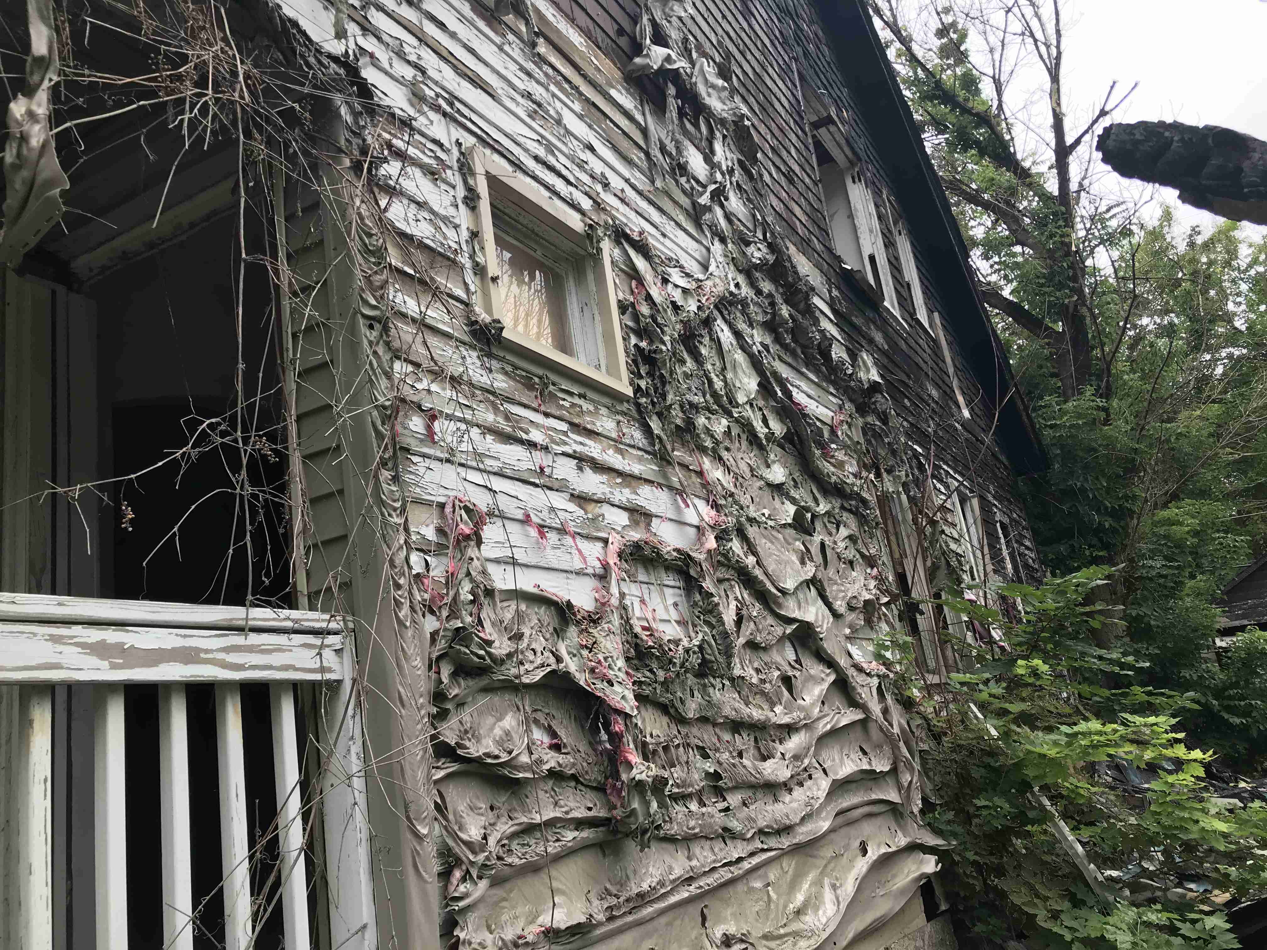 Photo Sep 10, 2 24 29 PM.jpg